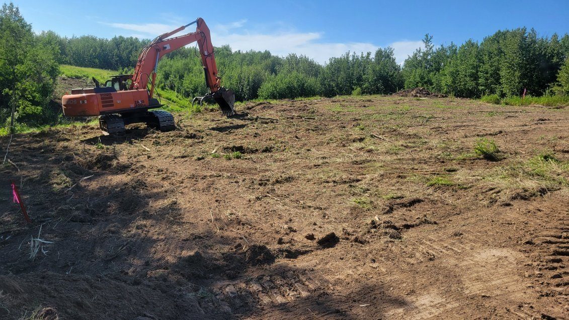 An excavator on a cleared slope with a treeline behind it, summer