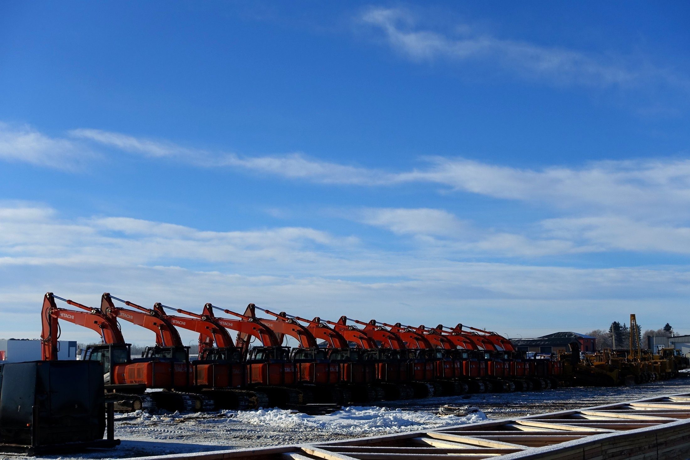 A row of orange excavators in a yard, booms up, low sun, the full frame