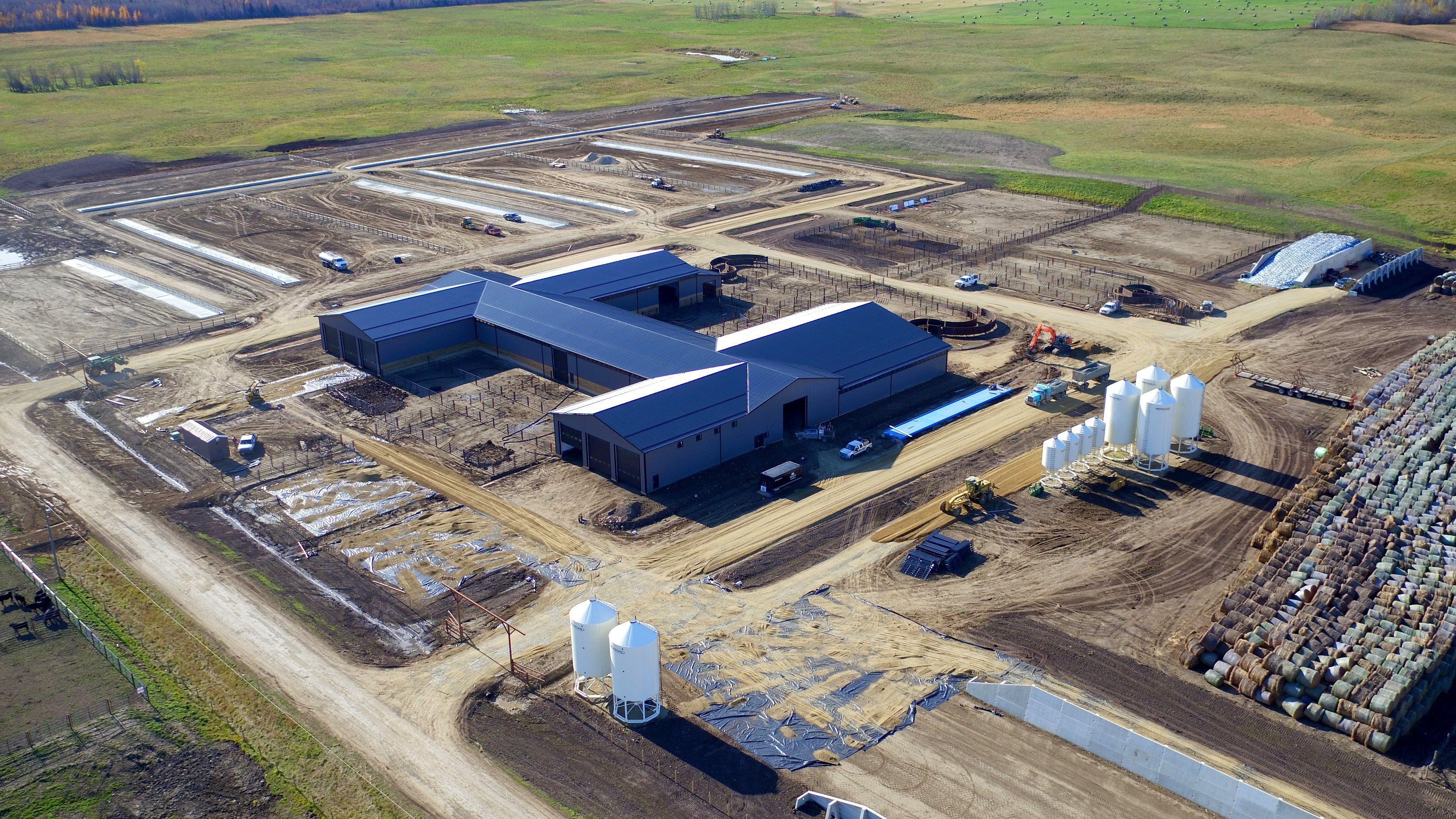 The ranch and the feedlot from the air in autumn
